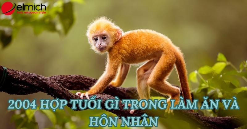 Con duong su nghiep phu hop cho nguoi tuoi Giap Than menh Tuyen Trung Thuy