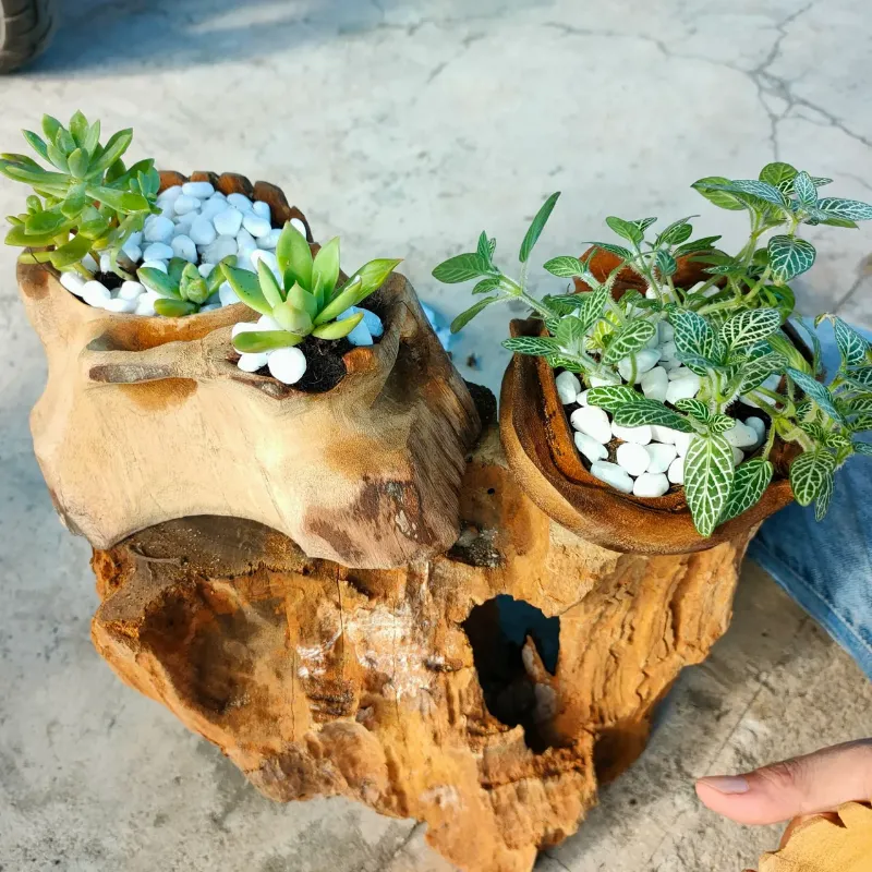 Hình minh họa phong thủy cho người mệnh Kim trong môi trường làm việc xanh sạch, kết hợp yếu tố kim loại, đá và cây xanh (được cân bằng)