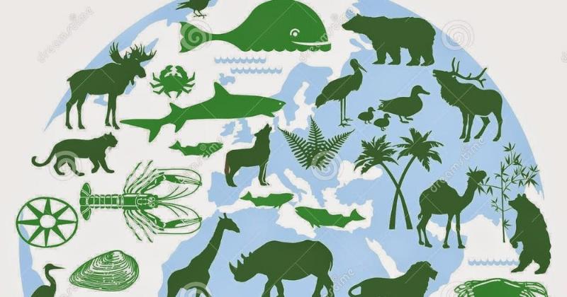 Sự gia tăng dân số và mức tiêu thụ tài nguyên là nguyên nhân suy giảm đa dạng sinh học gián tiếp