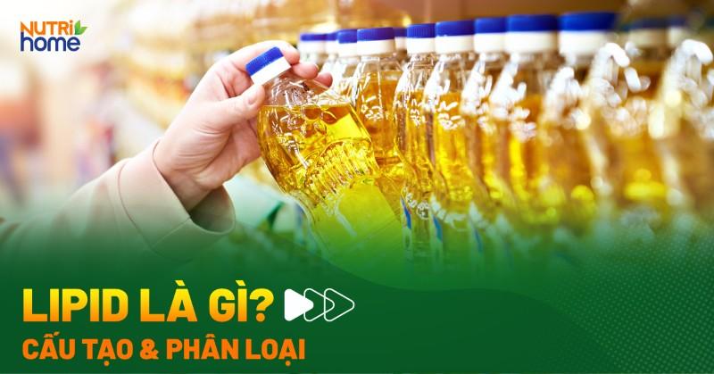 Cấu trúc phân tử nước và minh họa vai trò dung môi