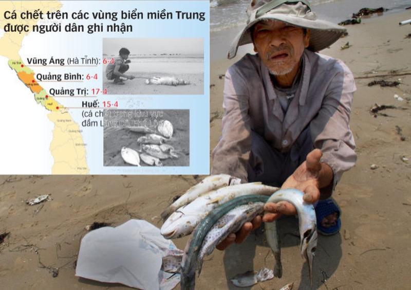 Hình ảnh minh họa ô nhiễm nguồn nước do chất thải công nghiệp chứa phenol, có thể ảnh hưởng đến đời sống thủy sinh