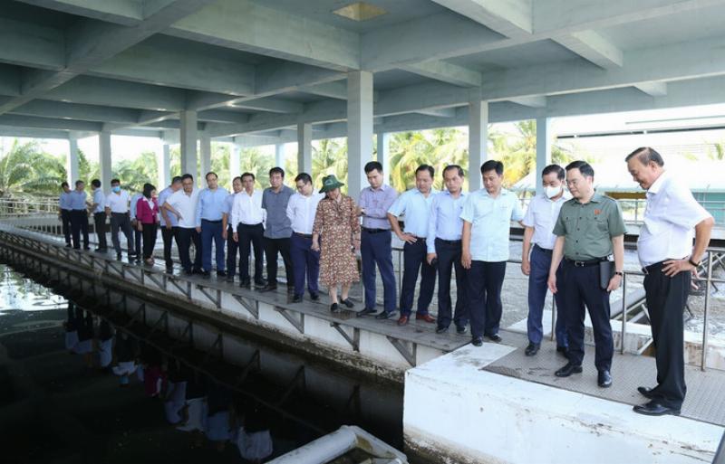 Minh họa quy trình xử lý nước thải cơ bản tại nhà máy hoặc khu công nghiệp do công ty chuyên nghiệp thực hiện