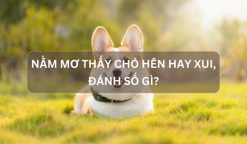 Tu vi va phong thuy giai ma y nghia cho la vao nha bao diem gi