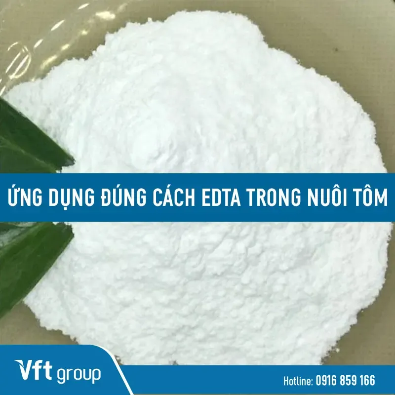 Hình ảnh minh họa ứng dụng của phèn chua trong quy trình xử lý nước
