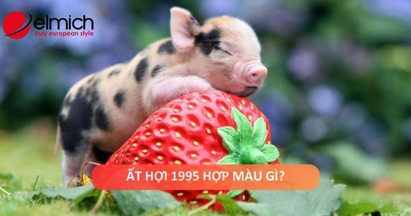 Vật phẩm phong thủy màu đỏ, cam, tím, xanh lá cây cho người Ất Hợi Sơn Đầu Hỏa