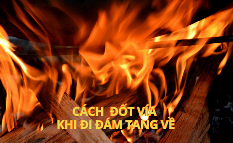 Hình ảnh minh họa cách thanh tẩy bằng nước lá thơm sau khi đi đám tang về, không đốt lửa