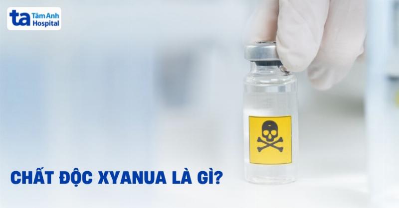 Minh họa cấu trúc phân tử nước H2O và sự hình thành liên kết hydro giữa các phân tử nước, thể hiện tính phân cực và khả năng liên kết đặc biệt của nước