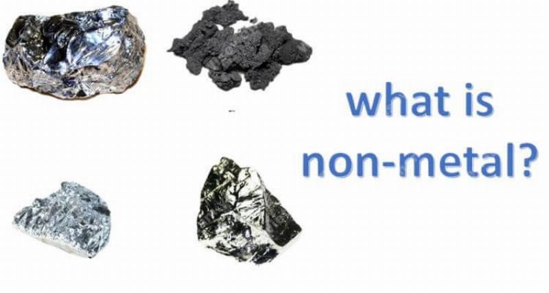 Chu trình của các nguyên tố phi kim thiết yếu như carbon, nitơ và phốt pho trong môi trường, minh họa phi kim gồm những chất nào quan trọng cho sự sống và hệ sinh thái