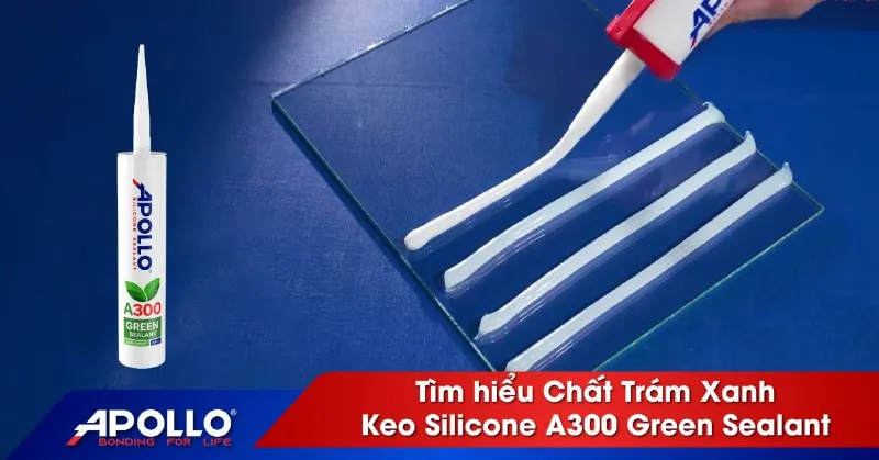Tìm kiếm và triển khai các giải pháp môi trường bền vững cho tương lai (hôm sau) của hành tinh