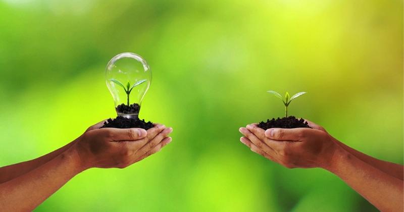 Hình ảnh tổng hợp các giải pháp bảo vệ môi trường như tái chế, năng lượng sạch, trồng cây xanh