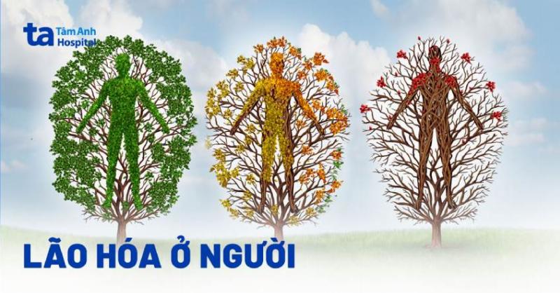 Khuôn mặt phụ nữ thể hiện sự hài hòa, khỏe mạnh từ môi trường sống trong lành