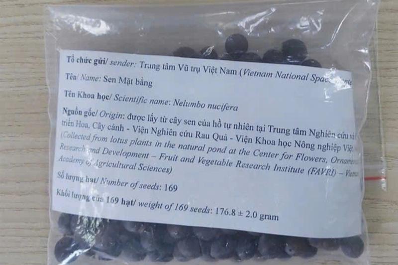 Hạt giống tiềm năng phát triển tương lai, ý nghĩa giấc mơ có bầu theo tử vi.