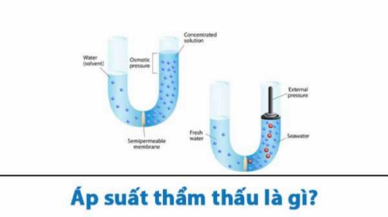 Minh hoa hien tuong tham thau va cong thuc tinh ap suat tham thau qua mang ban tham