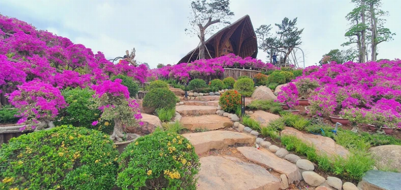 Sự hòa hợp giữa con người, chiêm tinh và môi trường tự nhiên