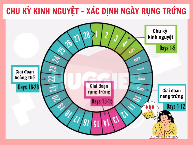 Lịch tháng 11 làm nổi bật ngày 20/11, giúp bạn dễ dàng xác định 20/11 là thứ mấy