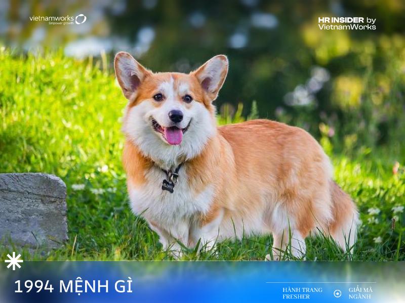 Hình ảnh minh họa nạp âm Sơn Đầu Hỏa, ngọn lửa mạnh mẽ trên đỉnh núi cho người sinh năm 1964 mệnh gì