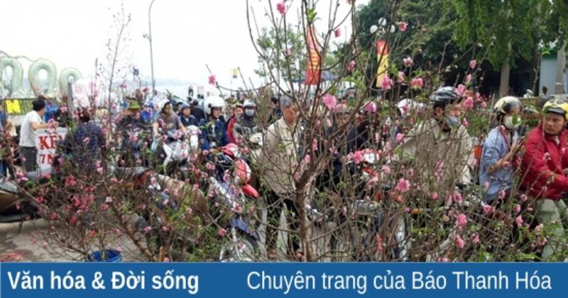 Người Việt Nam chúc Tết bên cành hoa đào, không khí truyền thống và hiện đại hài hòa