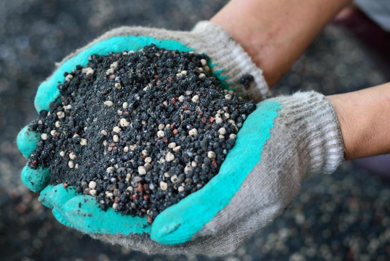 Hạt phân bón supephotphat kép cho thấy cấu tạo và màu sắc đặc trưng