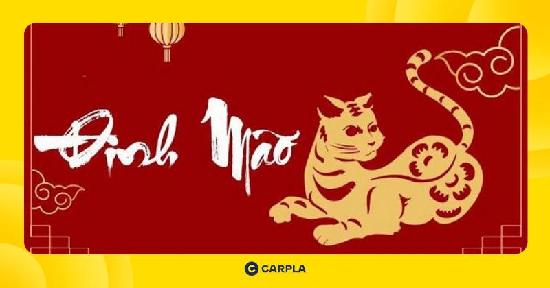 Bí quyết phong thủy cải vận tuổi Đinh Mão năm 2023