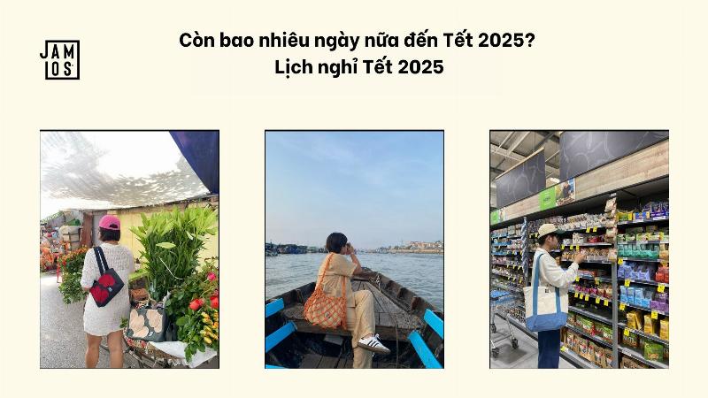 Lịch âm dương 2025 với hình ảnh hoa đào, hoa mai báo hiệu xuân về và ngày Tết Nguyên Đán 2025.