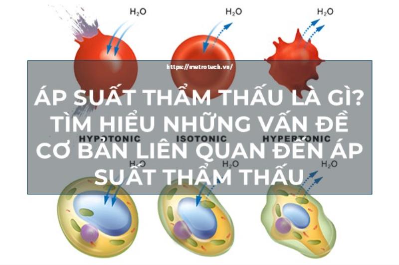 Giai thich cac thanh phan quan trong trong cong thuc tinh ap suat tham thau Van't Hoff
