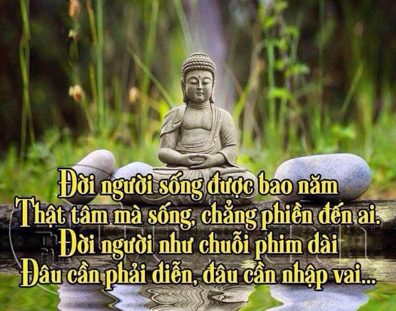 Thực hành thiền định theo lời phật dạy về cuộc sống an nhiên