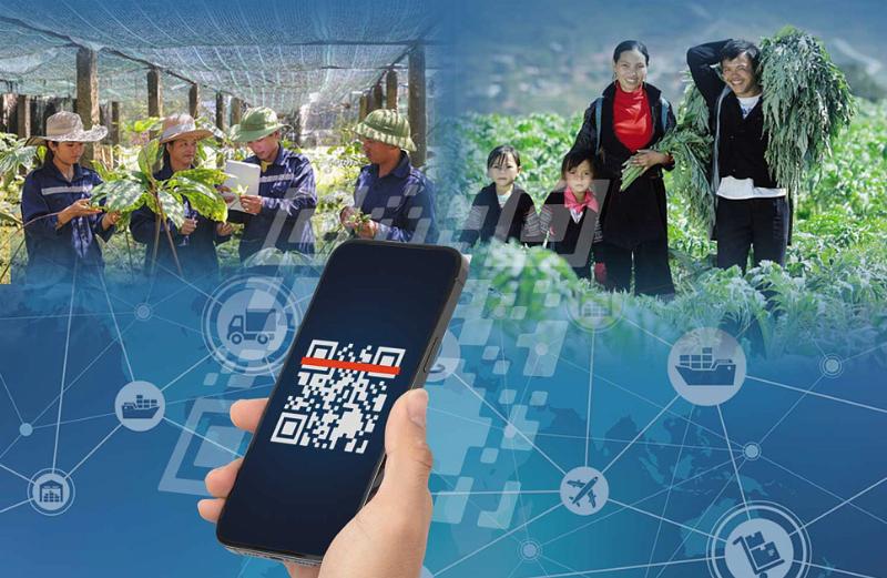 Hình ảnh minh họa các loại cây dược liệu truyền thống và các sản phẩm từ thực vật phục vụ đời sống, thể hiện vai trò của thực vật trong tự nhiên và đời sống con người