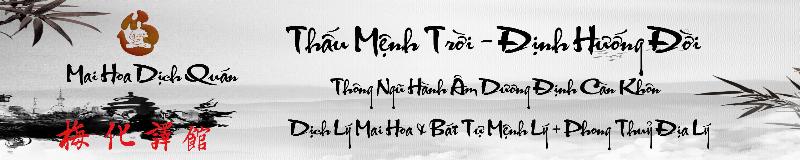 Sơ đồ Bát Tự minh họa bốn trụ năm tháng ngày giờ và các thiên can địa chi tương ứng trong tư trụ là gì