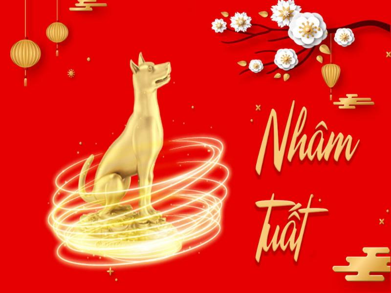 Hình ảnh minh họa vận trình tử vi đinh mão 2022 nam mạng trong năm Nhâm Dần, thể hiện sự kết hợp ngũ hành giữa tuổi và năm.