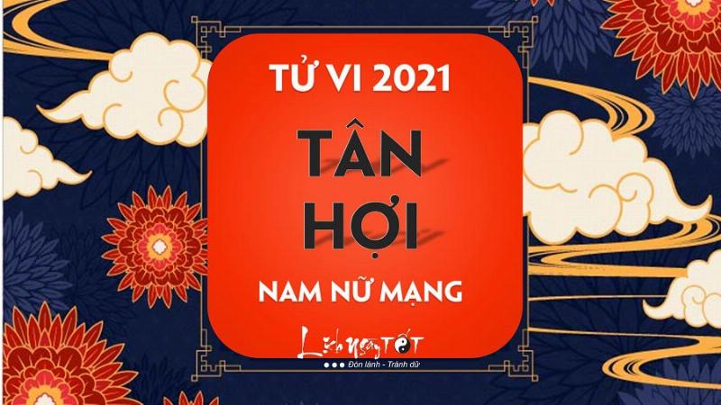 Sơ đồ minh họa tử vi tuổi tân hợi năm 2021 nữ mạng và các sao chiếu mệnh quan trọng