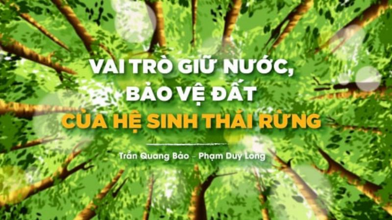 Vai trò của thực vật trong chu trình nước, hấp thụ nước, thoát hơi nước, giữ đất, lọc nước tự nhiên