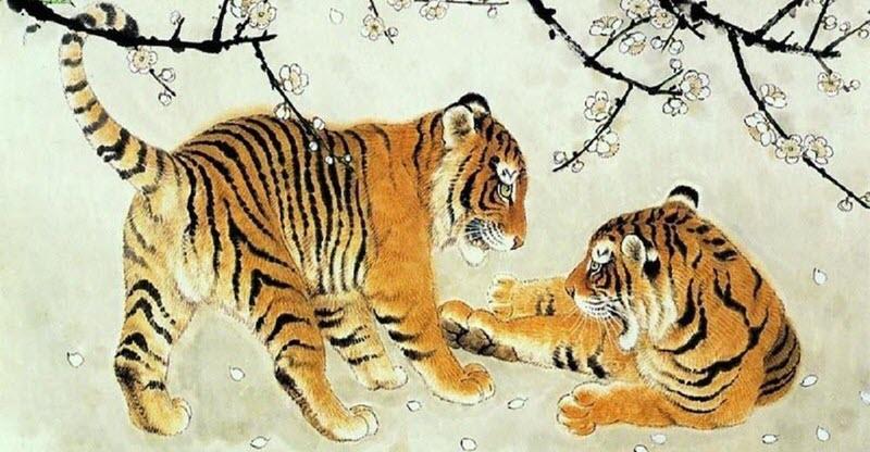 Bieu tuong cac van han thai tue tam tai sao la hau cua tuoi Dan 1986 nam mang trong nam 2022 can luu y phong tranh