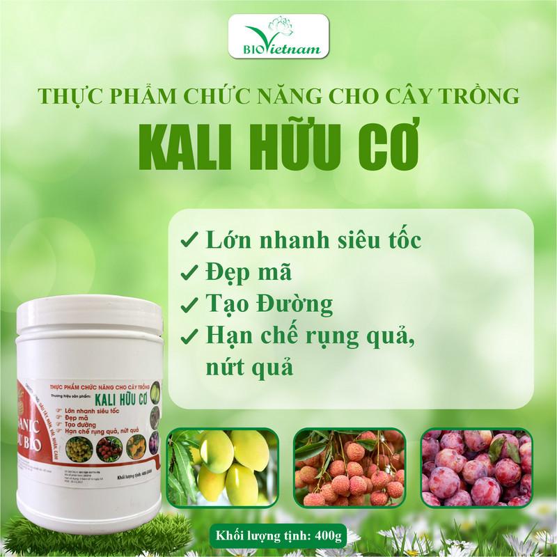 Vi khuẩn phân hủy chất hữu cơ và tái tạo dinh dưỡng trong đất