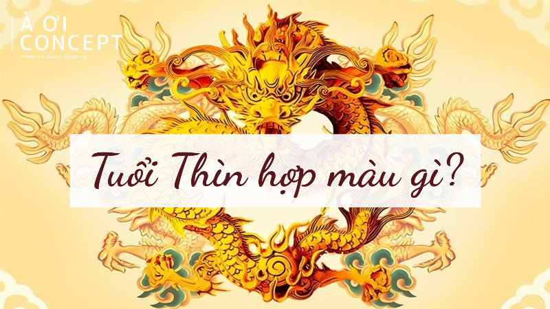 Hình ảnh tượng trưng cho sự hài hòa giữa con người, phương tiện và môi trường khi chọn biển số xe hợp phong thủy