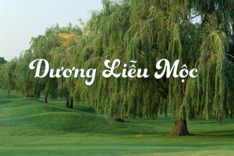 Bảng tổng hợp màu sắc phù hợp và không hợp cho nữ 2003 mệnh Mộc