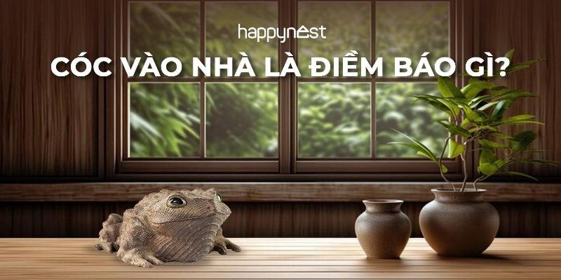 Con cóc vào nhà là điềm gì gần cửa ra vào may mắn