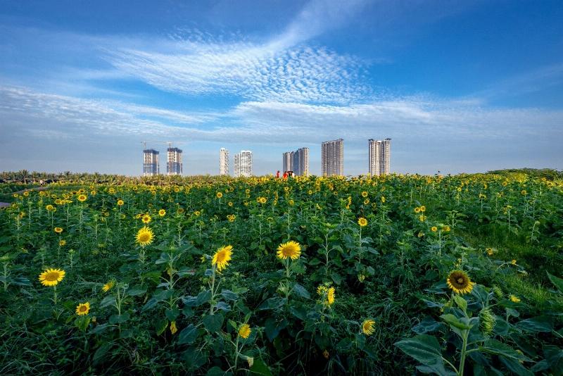Một người đang đi bộ bình yên trong khu rừng xanh tươi, với một con rắn nhỏ ẩn mình gần đó, tượng trưng cho sự chung sống hài hòa giữa con người và thế giới tự nhiên