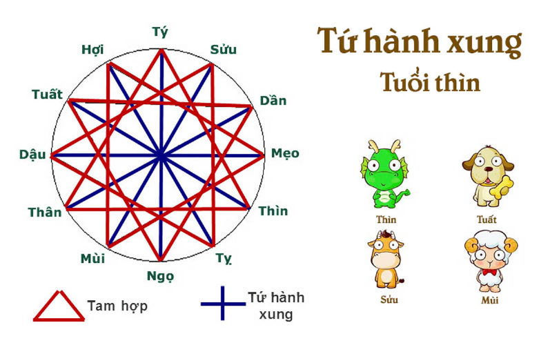 Biểu tượng sự cân bằng và hòa giải trong các mối quan hệ tứ hành xung, mang lại sự bình an