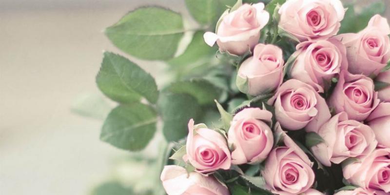 Một gia đình hạnh phúc, tượng trưng cho sự hòa hợp và bền vững