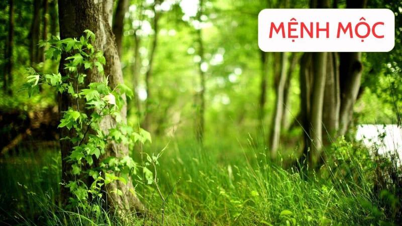Người mệnh kim chọn số điện thoại, biển số xe, số nhà hợp phong thủy