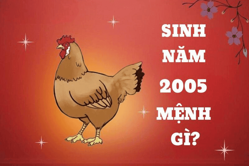 Lưu ý quan trọng và lời khuyên cho người tuổi Ất Dậu 2005