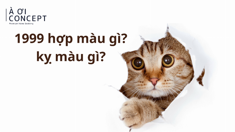 Bảng màu sắc tương sinh, tương hợp và tương khắc với mệnh Thành Đầu Thổ cho nam sinh năm 1999