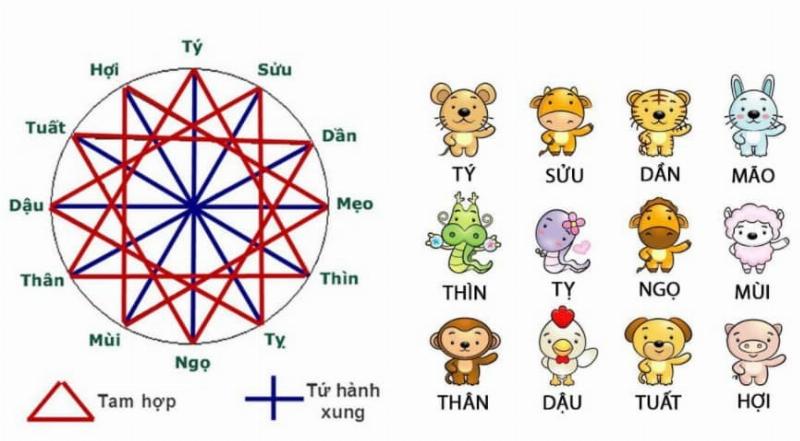 Biểu đồ các con giáp Việt Nam với tuổi Tỵ ở trung tâm, kết nối bằng các đường nét hài hòa đến các tuổi hợp (Dậu, Sửu, Thân) và các tuổi khác, minh họa sự phức tạp và đa dạng của các mối quan hệ trong chiêm tinh học phương Đông.