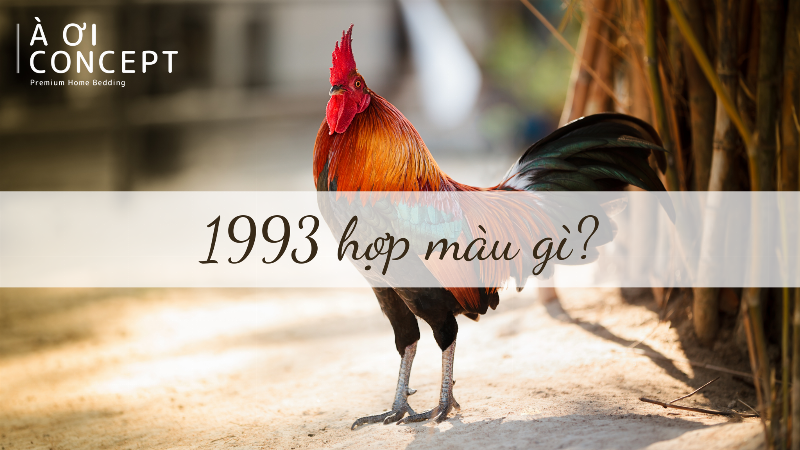Hinh anh la ban phong thuy hoac vat pham may man cho nam sinh nam 1993 menh Kim Kiem Phong Kim