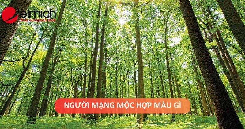 Phong thủy ngũ hành và màu sắc tương sinh tương khắc cho mệnh mộc