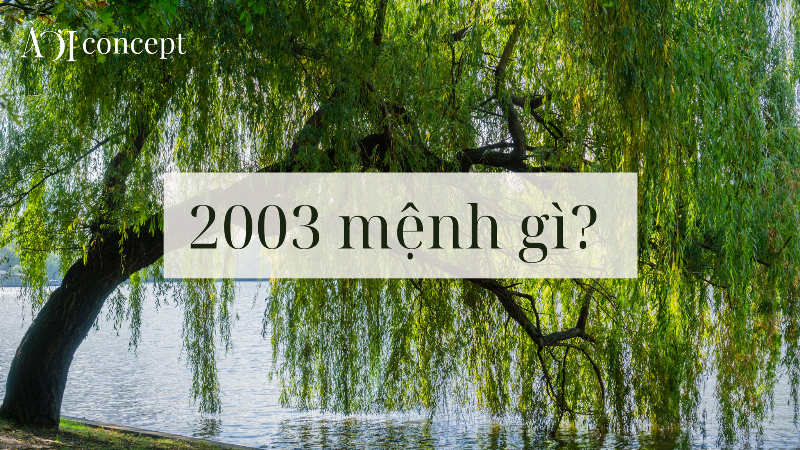 Mối quan hệ tình cảm của người tuổi Quý Dậu 1993 cần sự thấu hiểu, hòa hợp và cân bằng