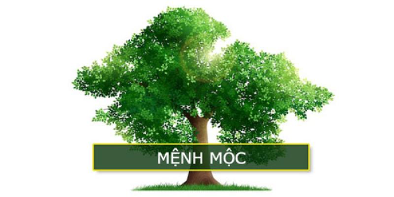 Hình ảnh người tuổi Quý Sửu đang thiền định hoặc thư giãn trong môi trường tự nhiên, tượng trưng cho sự hòa hợp và cân bằng
