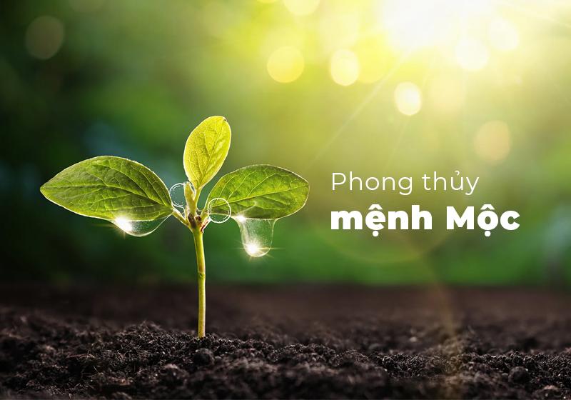 Số hợp mệnh Hỏa theo tương sinh, biểu tượng Mộc sinh Hỏa và các con số 3, 4