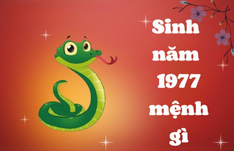 Nữ Bính Thìn 1976 và nam Đinh Tỵ 1977 trong tình yêu hạnh phúc, biểu tượng cho sự hòa hợp