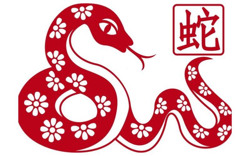 Lời khuyên phong thủy giúp tuổi Ngọ phát triển và thịnh vượng